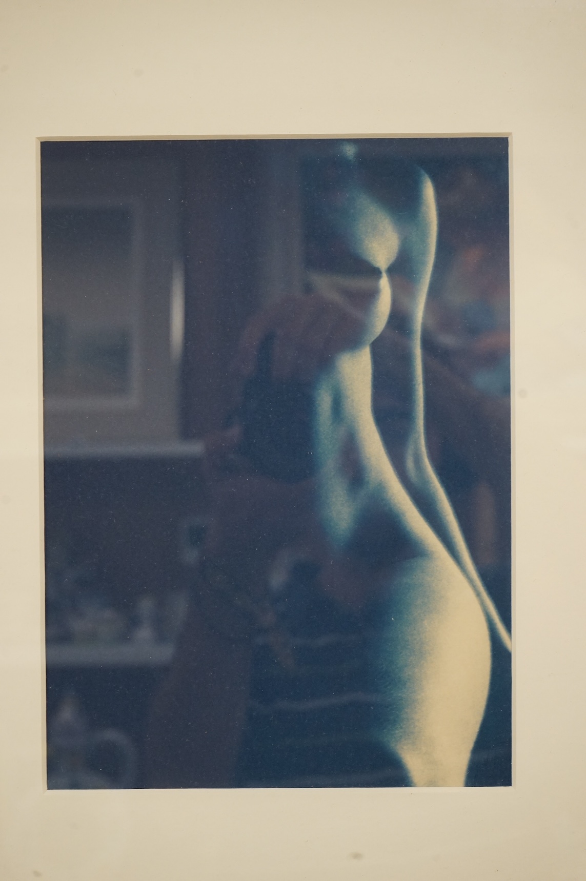 Allan Jenkins (contemporary), 'Jenny torso 2000' and 'Charlotte's profile', 1999, each signed, titled, dated and numbered in pencil verso, pair of toned cyanotype prints, each with labels verso, 24 x 19cm
